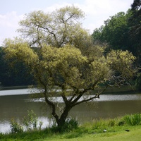 Photo de belgique - Le jardin botanique de Meise